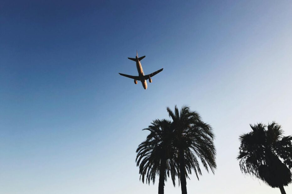 Plane flying ver palm trees